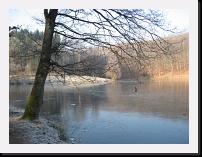 Heiligenwald