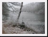 Heiligenwald