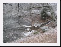 Heiligenwald