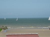 IMG_0011
