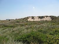 IMG_0018
